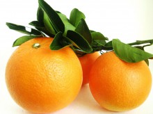 浓郁香甜的纽荷尔脐橙是脐橙中的上上品